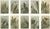 Birds of Prey, Eagles & Falcons, 1890s, Chromolithographs, Set of 10 For Sale