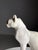 20th Century Plaster Statue of Cat For Sale - Image 4 of 11