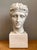 Vintage Plaster Classical Bust of Roman Warrior For Sale - Image 10 of 18
