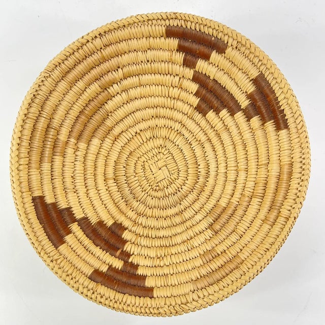 Tan Early 20th Century Tonga Basket Zambia 8inch Snake Belly Edge MATTER COLLECTION For Sale - Image 8 of 8