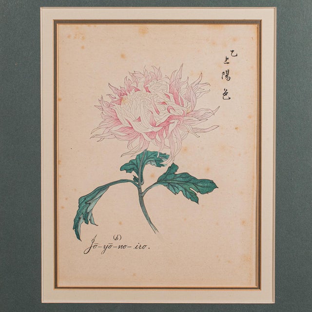 1980s 2 Vintage Botanical Pictures, Japanese, Woodblock Print, After Hasegawa, Art For Sale - Image 5 of 10