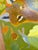 “Coyote Eye View” a High Desert Painting by LWren Walraven For Sale In Santa Fe - Image 6 of 7