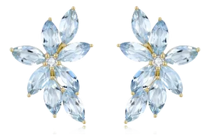 Nina Zhou Aquamarine Diamond Cluster Earrings in 14k Gold - a Pair