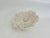 Late 20th Century Natural Table Coral on Acrylic Base For Sale - Image 5 of 8