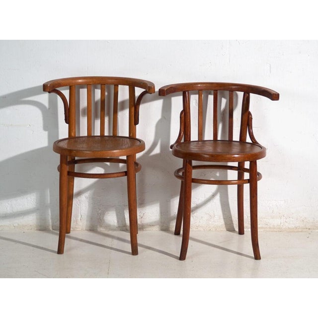 Mundus Bentwood Chairs, 1920, Set of 4 For Sale - Image 10 of 14