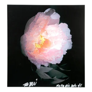 Peony From the Metallic Sets, Jonathan Singer