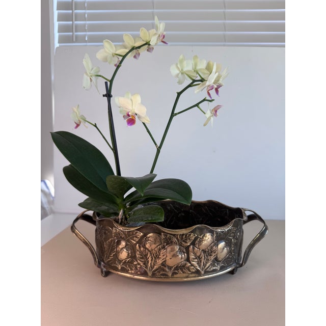 Antique European Brass Jardiniere With Apple Motif For Sale - Image 10 of 10
