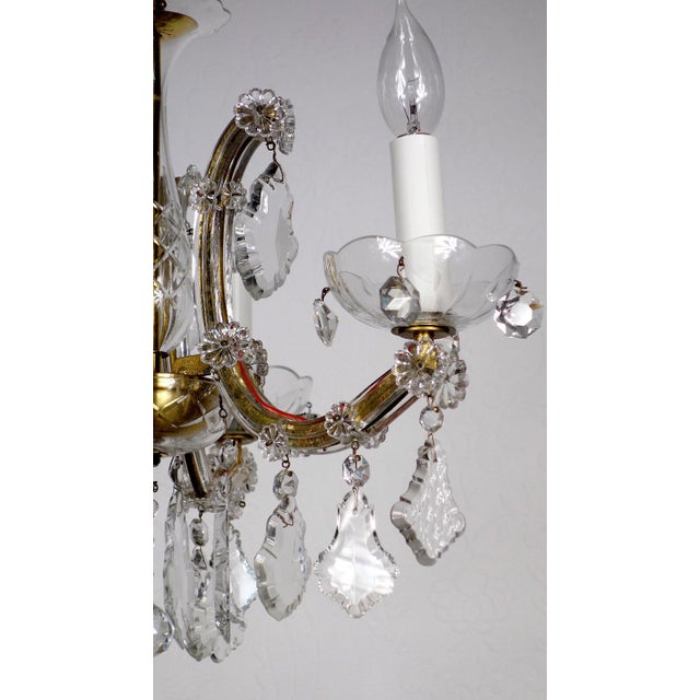 Antique Maria Theresia Chandelier from Palwa, 1950s For Sale - Image 6 of 13