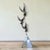 Curtis Jere 1976 Curtis Jere “Birds of Flight” Chrome and Metal Sculpture For Sale - Image 4 of 10