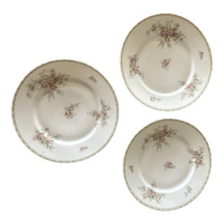 Vintage Set of 3 Limoges France Dinner Plates For Sale