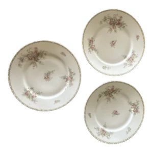 Vintage Set of 3 Limoges France Dinner Plates