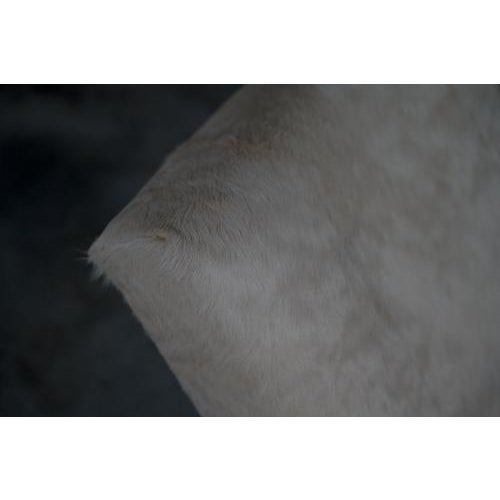 Lounge Chairs in Beige Pony Skin by Miroslav Navrátil, Czech Republic, 1950s, Set of 2 For Sale - Image 13 of 18