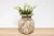 Wooden Rustic Vase-Devi For Sale - Image 10 of 11