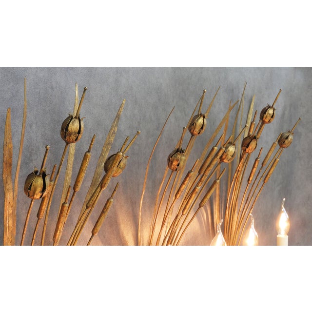 Spanish Gilt Tole Reed and Seed Head Wall Sconce, 1960 For Sale - Image 6 of 10