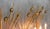 Spanish Gilt Tole Reed and Seed Head Wall Sconce, 1960 For Sale - Image 6 of 10