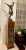 1940s Art Deco Mahogany Lighted Column, French Rod Iron Frosted Glass and Mahogany Wood Lighted Pedestal For Sale In New York - Image 6 of 12