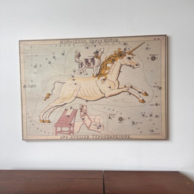 Monoceros and Canis Minor Constellation Map on Board Artwork For Sale In Buffalo - Image 6 of 12