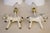 Antique White 1950s Rare Matched Pair Kay Bojesen Denmark Hand Painted Danish Modern Wood Zebra Table Lamps Monkey For Sale - Image 8 of 9