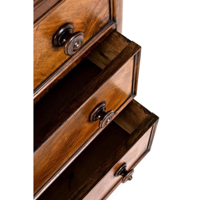 Wood English Mahogany Chest of Drawers For Sale - Image 7 of 14