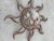 1980s Tom Torrens Large Cast Aluminum Sun For Sale - Image 9 of 11