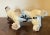 Art Pottery Dog Sculpture of a Jack Russell Terrier For Sale - Image 13 of 13