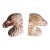 Carved Wood Eagle Head Bookends For Sale