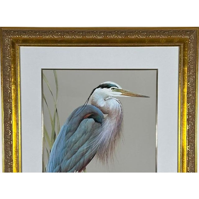 Late 20th Century Art LaMay Signed Limited Edition Bay Blue Heron Gold Gilt Framed Giclee For Sale - Image 4 of 14