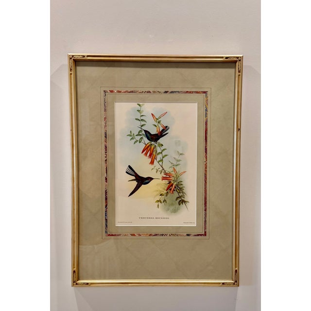 An exceptional original 19th-century hand-colored lithograph by celebrated British ornithologist and publisher John Gould,...