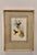 An exceptional original 19th-century hand-colored lithograph by celebrated British ornithologist and publisher John Gould,...
