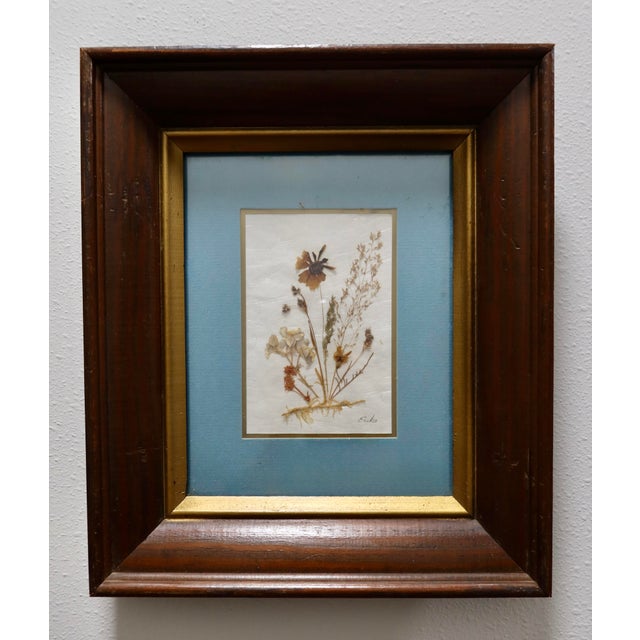 Farmhouse Vintage Erika Originals Swiss Pressed Botanical Flower Art, Pair — Matted & Framed Alpine Wildflowers For Sale - Image 3 of 10