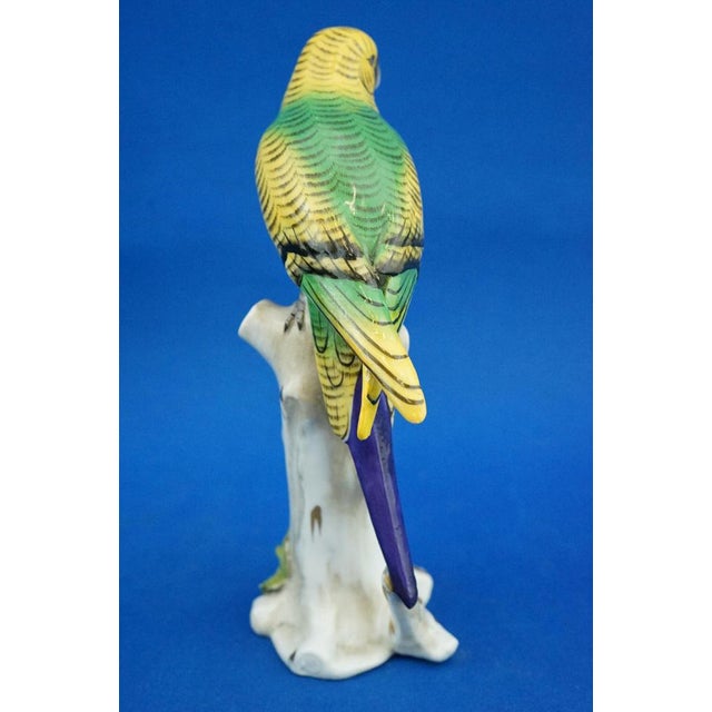 Porcelain Sculpture of Parrot Figurine by Real Casa Ferdinandea or Ginori Doccia, Italy, 1700s-1800s For Sale - Image 5 of 18