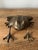 Mid-Century Modern Vintage Mid-Century Large Brass Frog Figurine For Sale - Image 3 of 9
