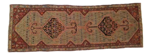 1900's Antique N.West Persian Rug, 3'7" X 10'6"