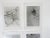 1948 photographs of microscopic fungal and bacterial slides. Very abstract looking, notes in pencil on verso. Unframed,...