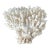 Natural White Coral Reef Specimen #8 For Sale