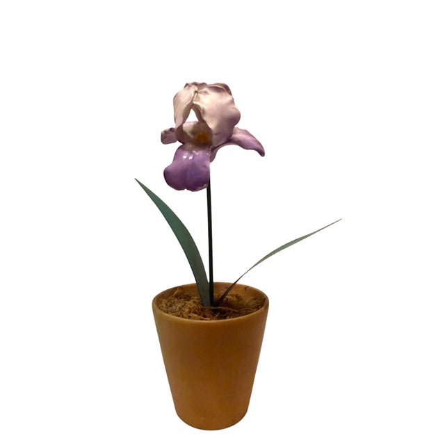French Porcelain Flower in Terracotta Pot For Sale In Miami - Image 6 of 11