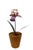 French Porcelain Flower in Terracotta Pot For Sale In Miami - Image 6 of 11