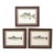 Set of 3 Original Antique Denton Framed Fish Prints C. 1900 For Sale