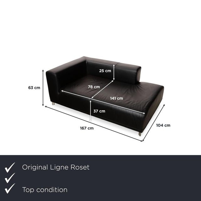 with this daybed from Ligne Roset, you get a piece of furniture that seamlessly blends the elements of a sofa and a chaise...