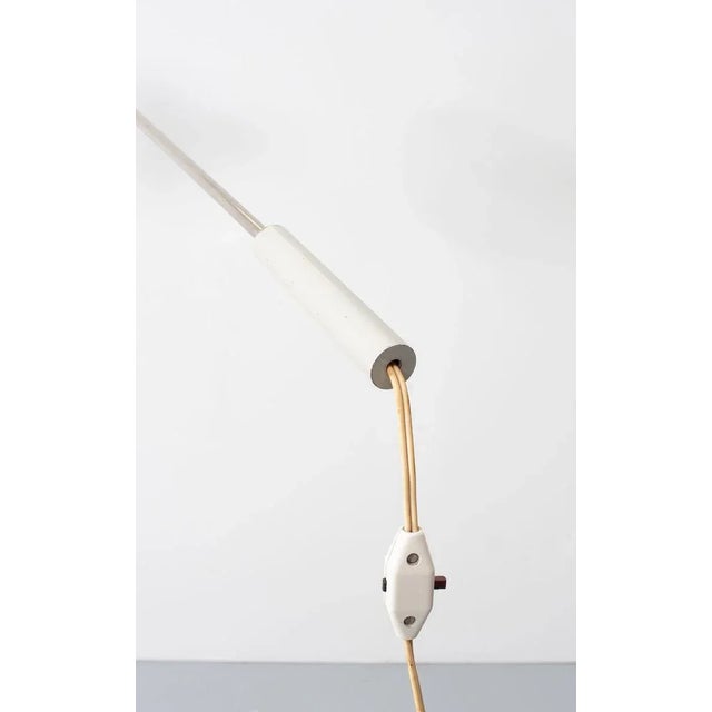 Floor Lamp by H. Fillekes for Artiforte, 1950s For Sale - Image 6 of 17