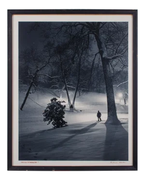 Winter Wonderland, Baltimore Photograph by Richard Stacks