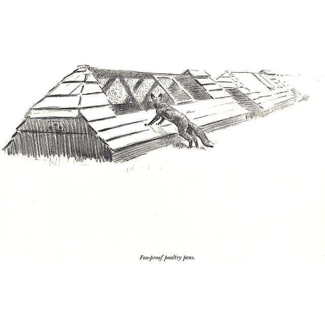 "The Fox" 1949 Edwards, Lionel For Sale - Image 11 of 13