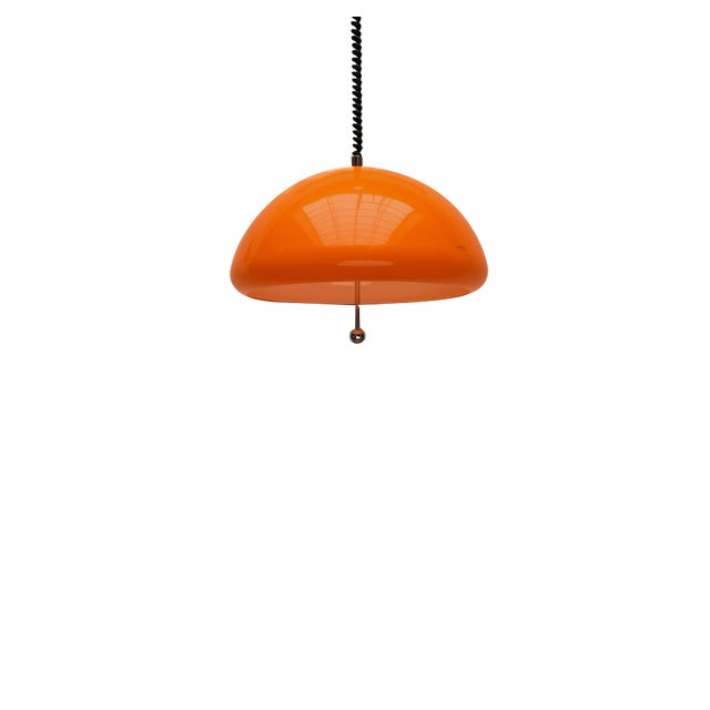 Space Age Cabras Pendant Lamp by Luigi Massoni for Guzzini, 1960s For Sale