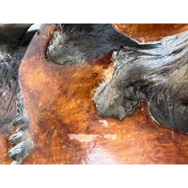 1960’s Mid-Century Hand-Carved Live Edge Redwood Burl Root Coffee Table For Sale - Image 10 of 12