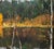 1970s Boris Lavrenko, Black Lake Landscape with a Lake in the Middle of a Forest, 1978, Oil on Canvas For Sale - Image 5 of 7