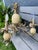 Almond Vintage 1980s Quoizel Pineapple Tole Chandelier, Featuring a Large Central Ceramic Pineapple For Sale - Image 8 of 12