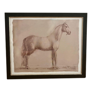 Framed Lithograph of Horse "Aga" by Alexander Lauréus