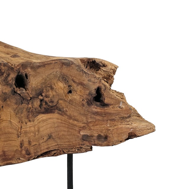 Wood Large Natural Driftwood Sculpture on Stand Organic Modern Art 19" For Sale - Image 7 of 11