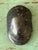 Contemporary Vintage Italian Scagliola Pigmented Plaster Turtle Shell For Sale - Image 3 of 12