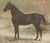 Late 19th Century O. Eerelman, Russian Half-Blood Horse, 1898, Chromolithograph For Sale - Image 5 of 9